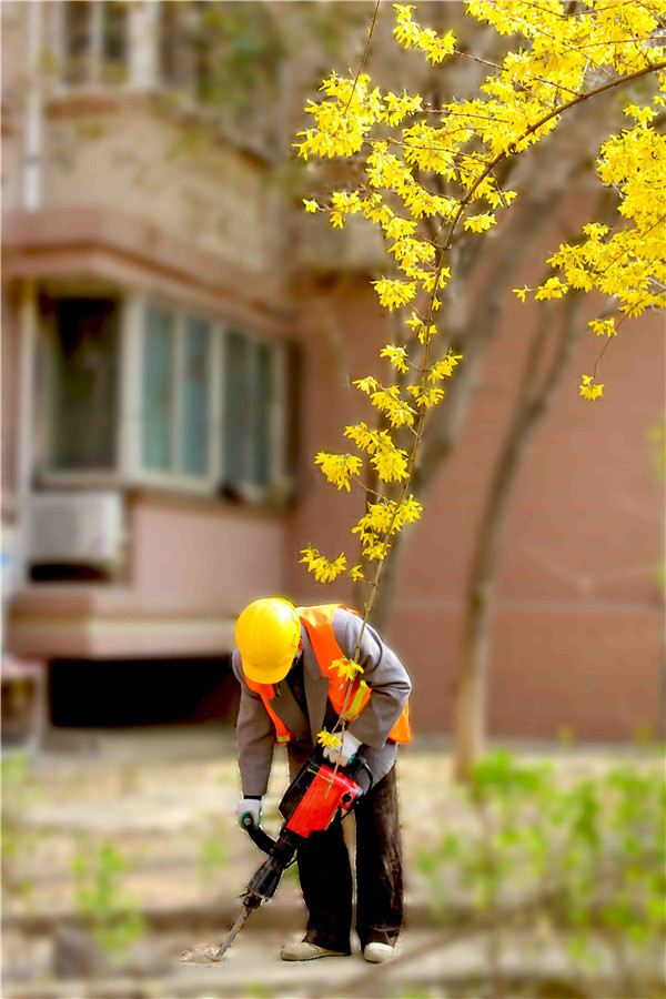 ��ҳ| ���������й��ٷ���վ