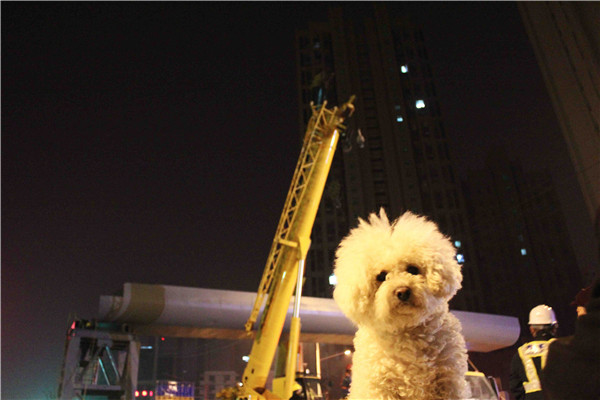 ��ҳ| ���������й��ٷ���վ